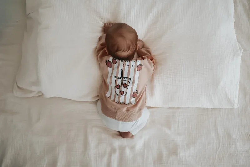 Detailansicht Backprint Berry Delicious auf altrosa Ripp-Jersey Baby Pullover handgefertigt